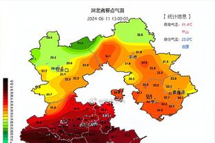 邮报：霍奇森仍将执教水晶宫，但如果继续输球可能会下课